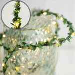 Luzes LED de Pátio Hera de Corda 5m