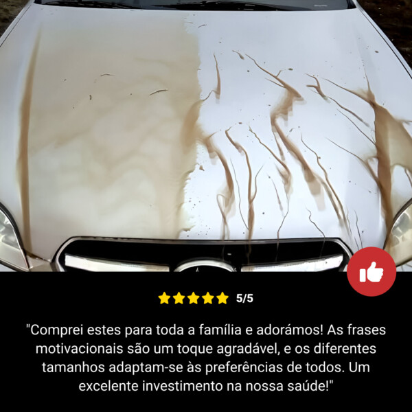 RESTORIDE - Spray para proteção de peças metálicas e de vidro do automóvel - Image 9